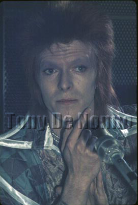 David Bowie