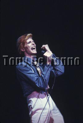 David Bowie