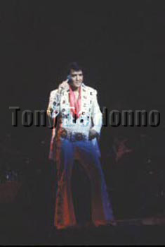 Elvis