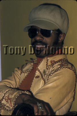 Stevie Wonder