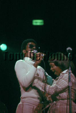 Stevie Wonder